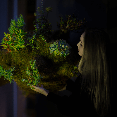 Hanging Gardens Collection
