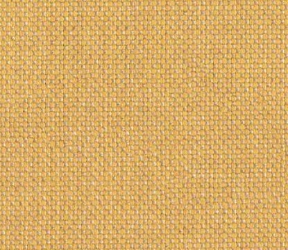 Natte Sunlight