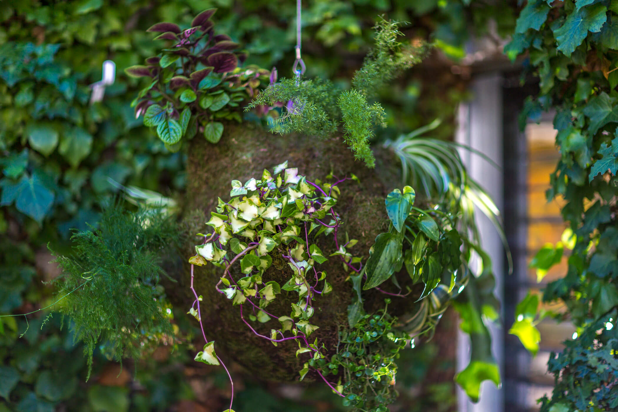 Hanging Gardens Collection suspended garden