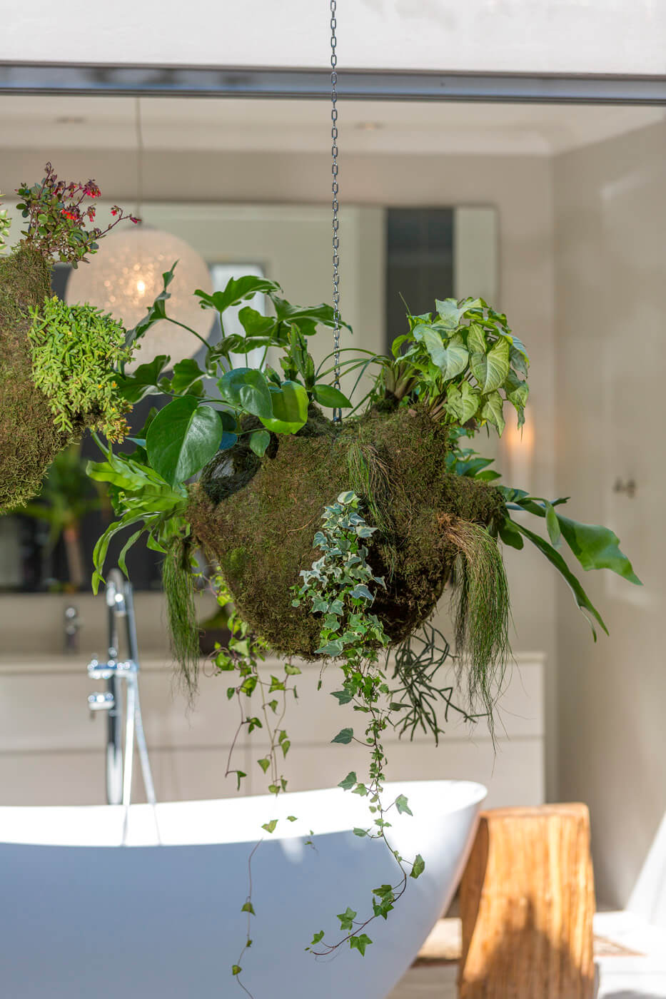 The African hanging garden 7