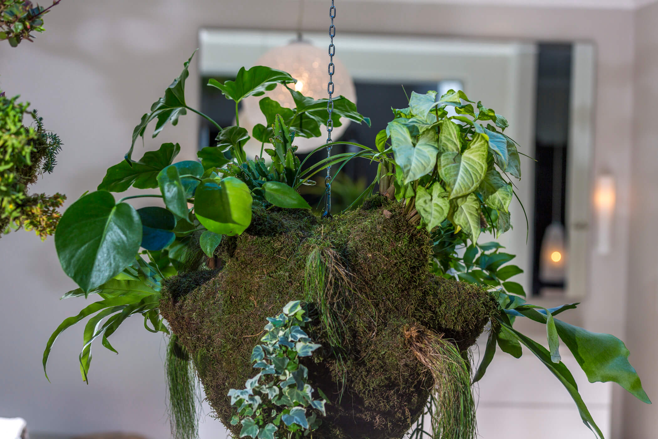 The Amazon hanging garden 4