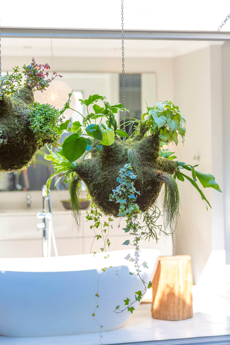 The Amazon hanging garden 6