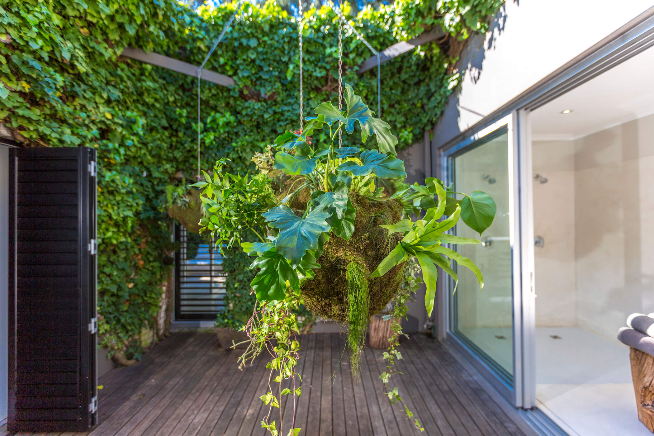 The Amazon hanging garden 7