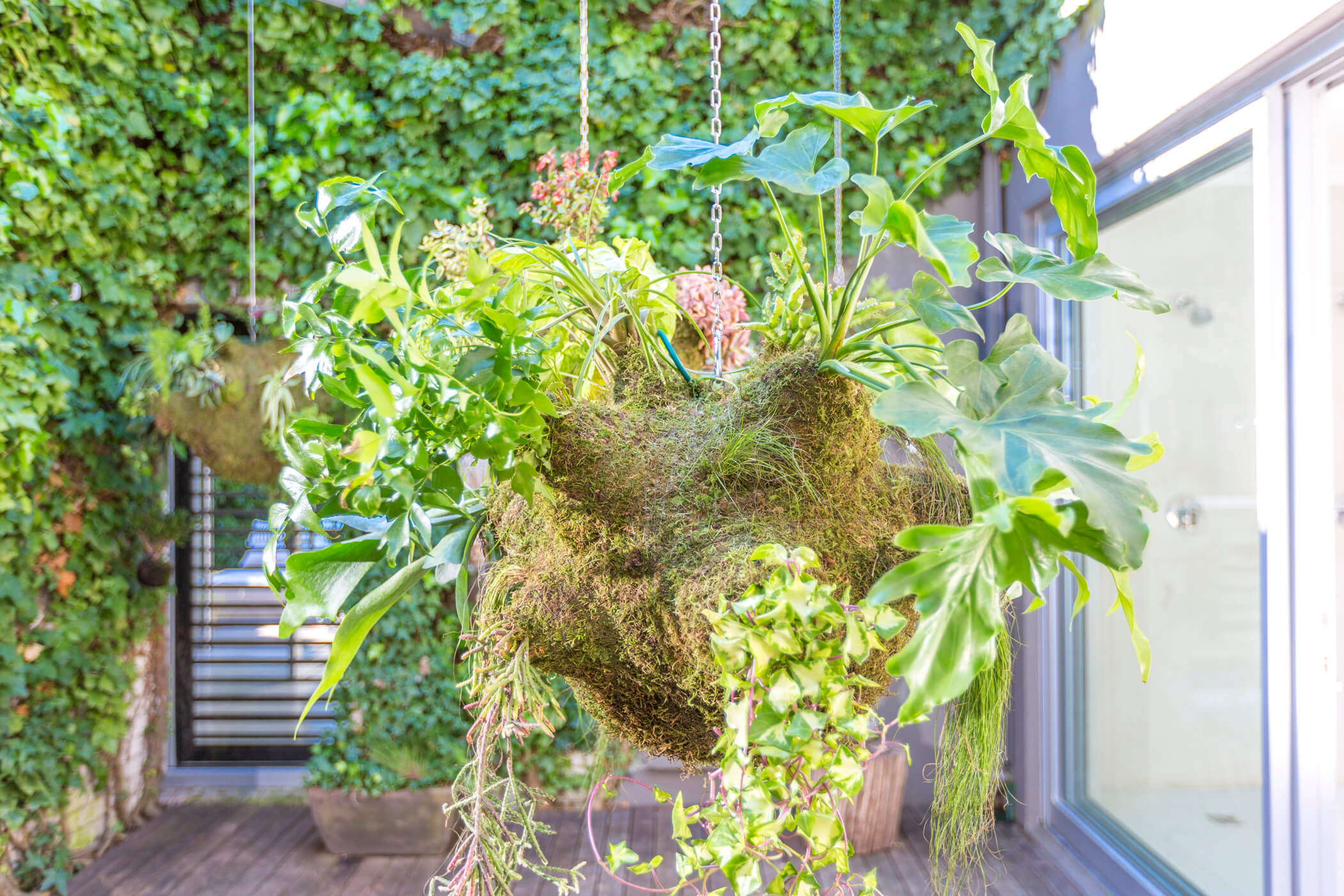 The Amazon hanging garden 8
