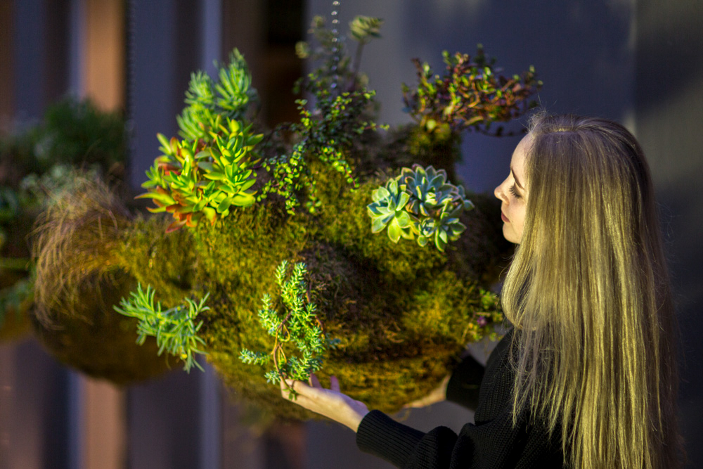 Hanging Gardens Collection